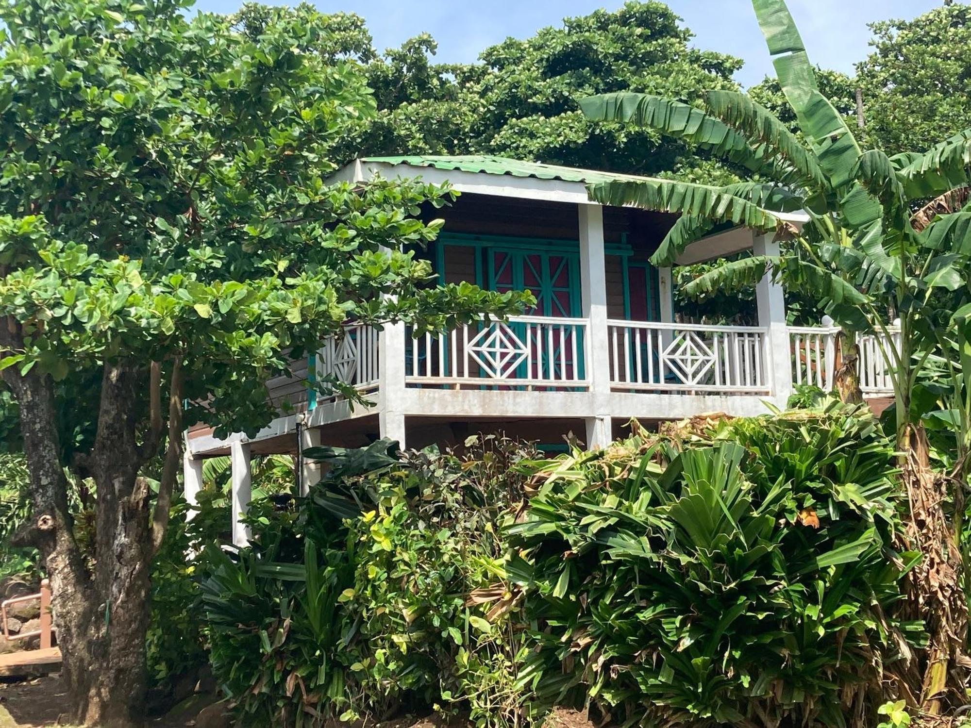Treehouse Apartment At La Lodge At Long Bay South End Exterior foto
